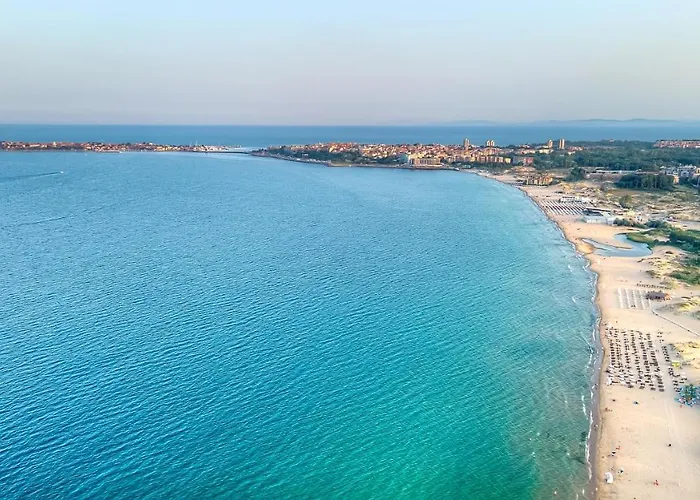 Viva * サニービーチ